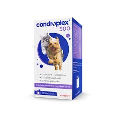 CONDROPLEX 500 C/60 COMPRIMIDOS
