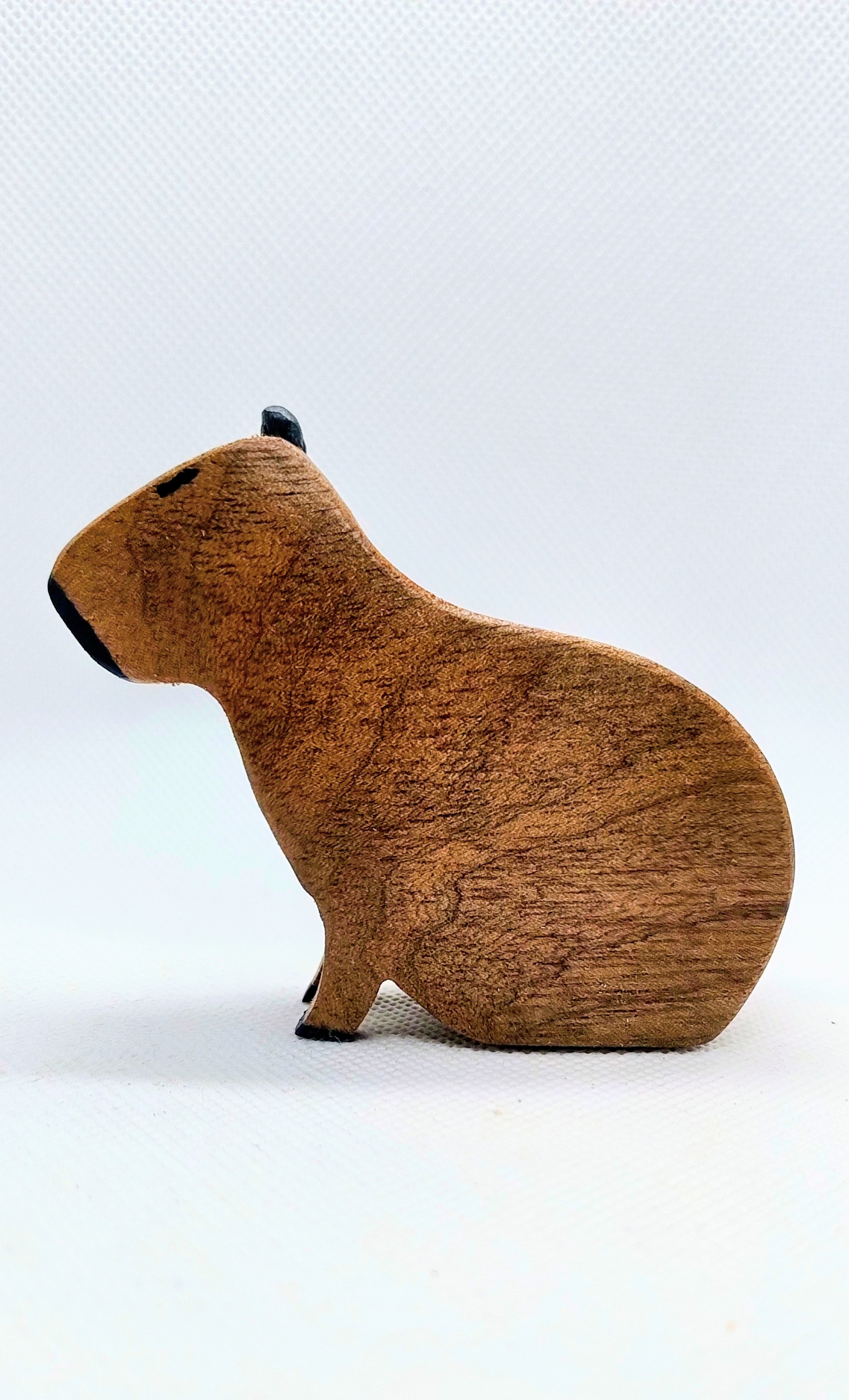 Capivara