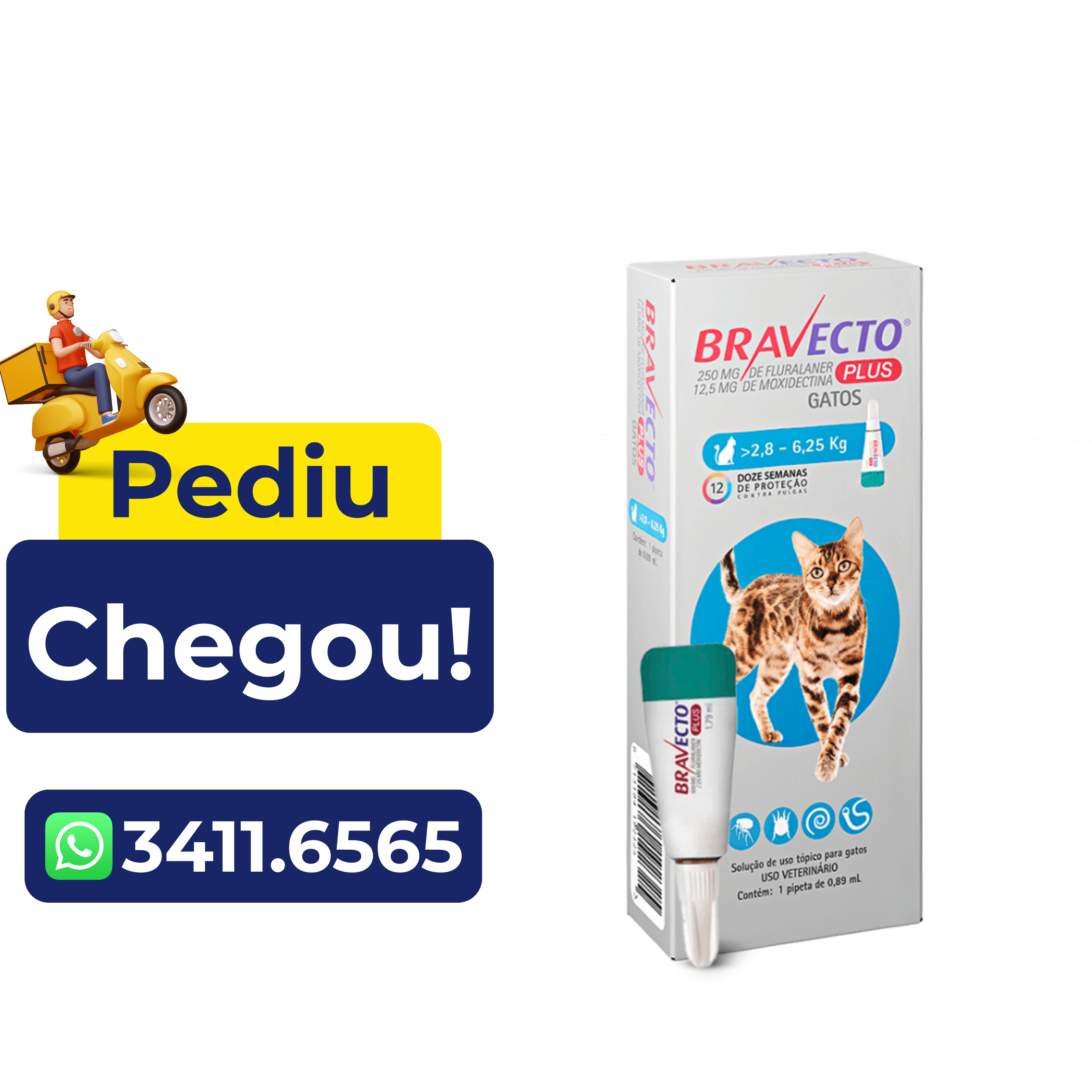 Antipulgas e Carrapatos Bravecto Plus Gato 250Mg – 2,8 a 6,25Kg