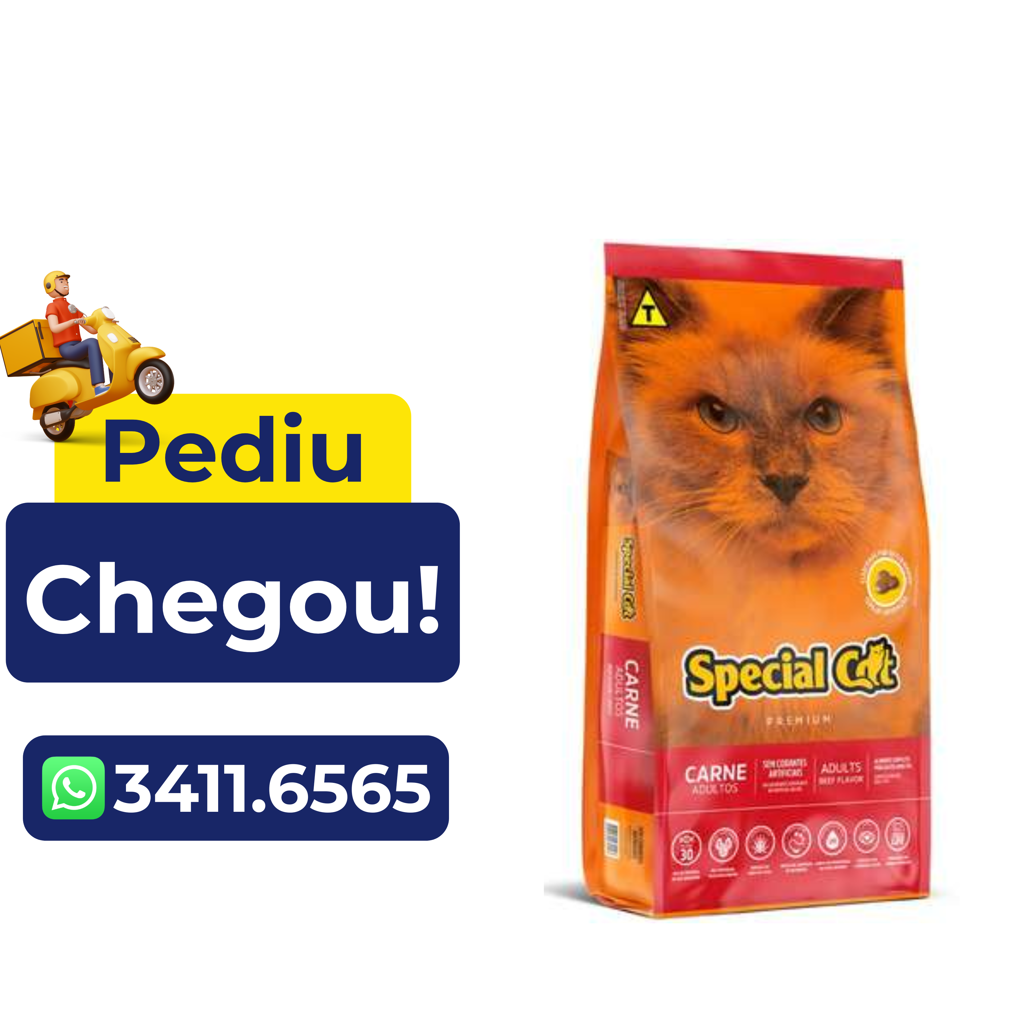 Ração Special Cat Premium Carne para Gatos Adultos 1kg