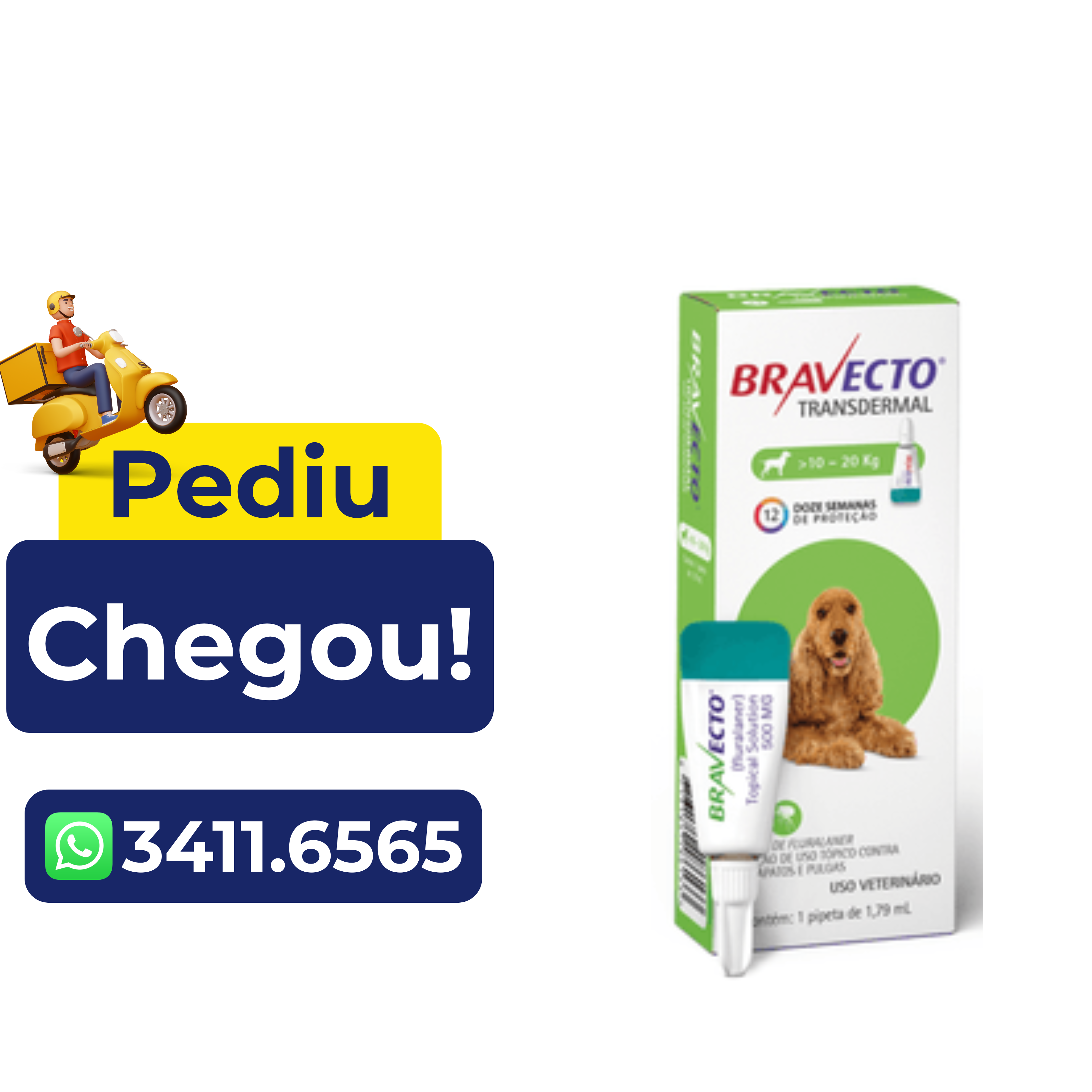Antipulgas e Carrapatos Bravecto Transdermal para Cães 500Mg – 10 a 20 Kg