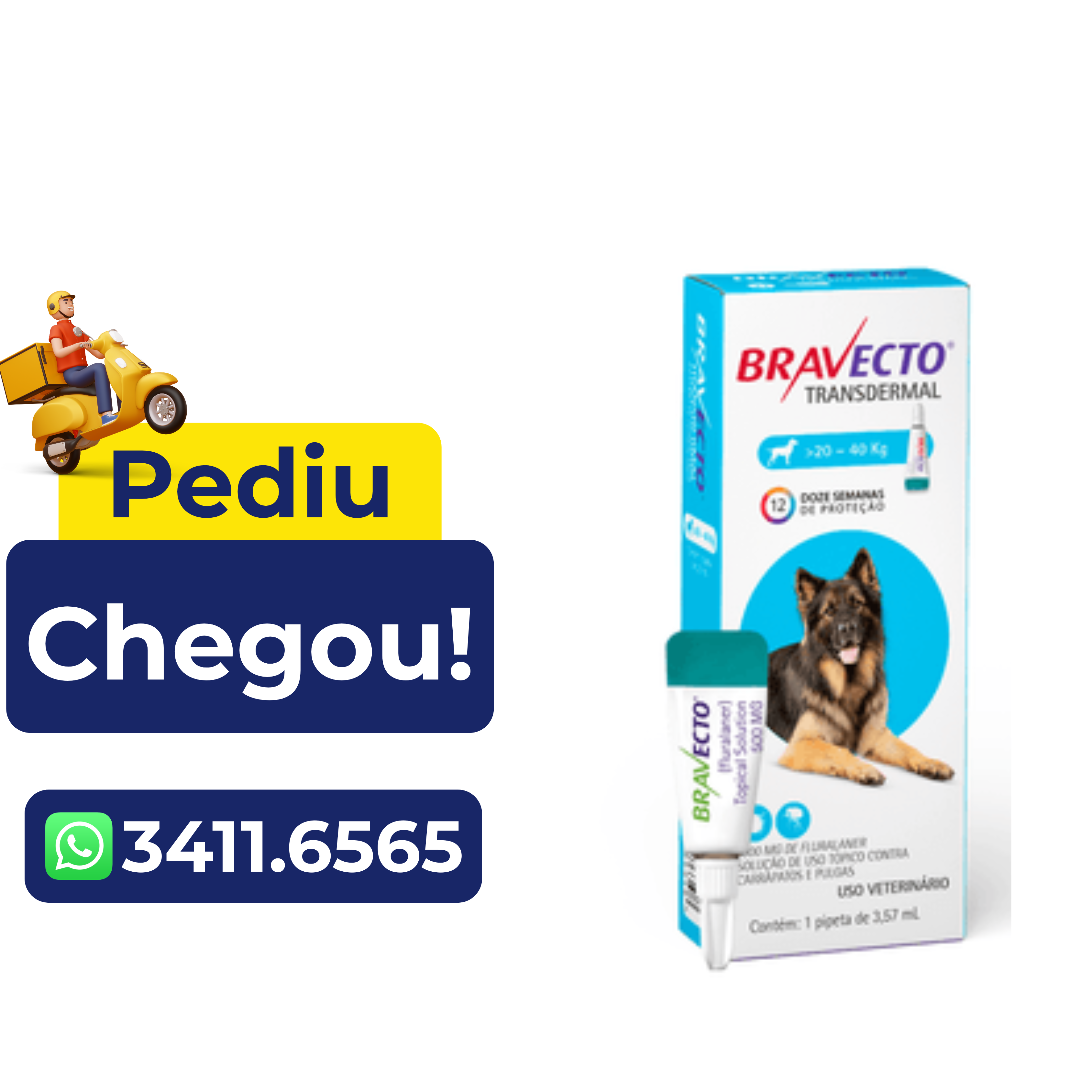 Antipulgas e Carrapatos Bravecto Transdermal para Cães 1000Mg – 20 A 40 Kg