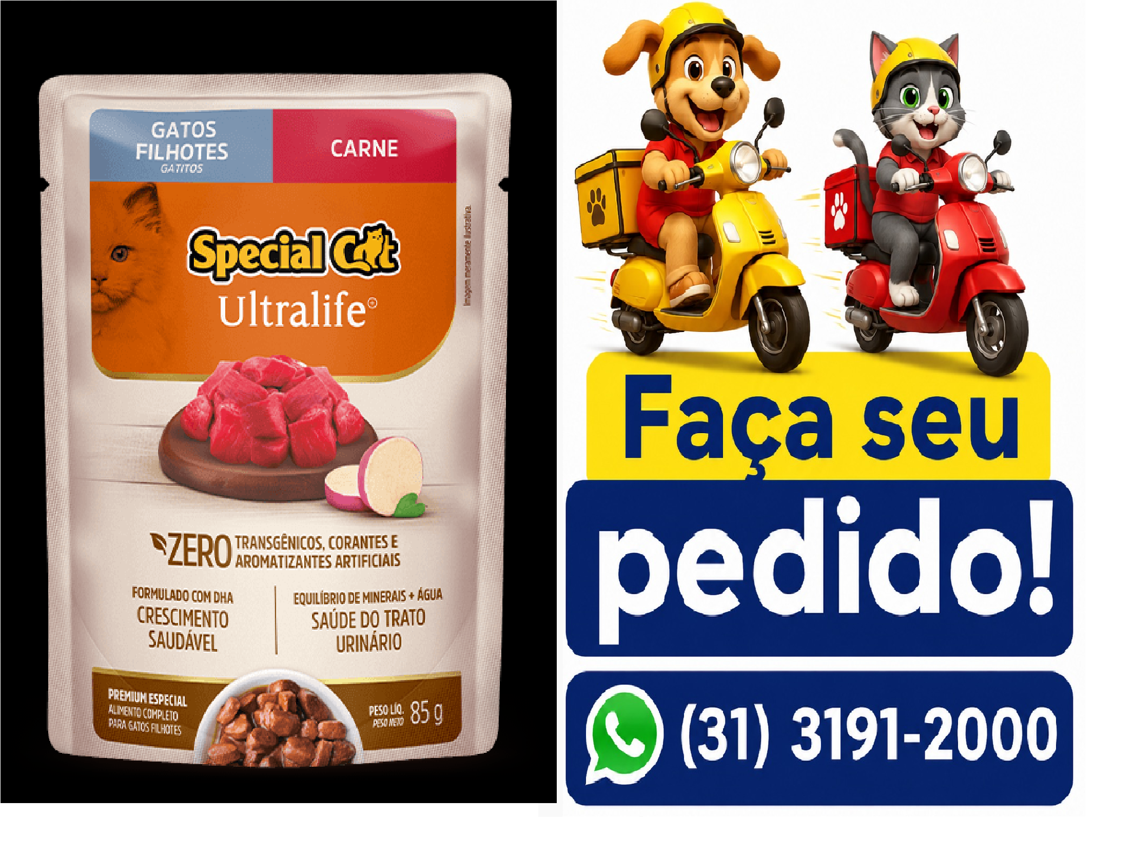 SACHÊ SPECIAL CAT ULTRALIFE FIL CARN 85G