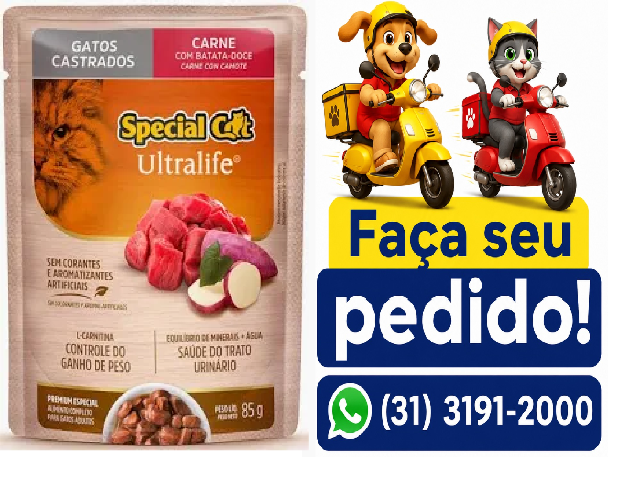 SACHÊ SPECIAL CAT ULTRALIFE CAST CAR 85G