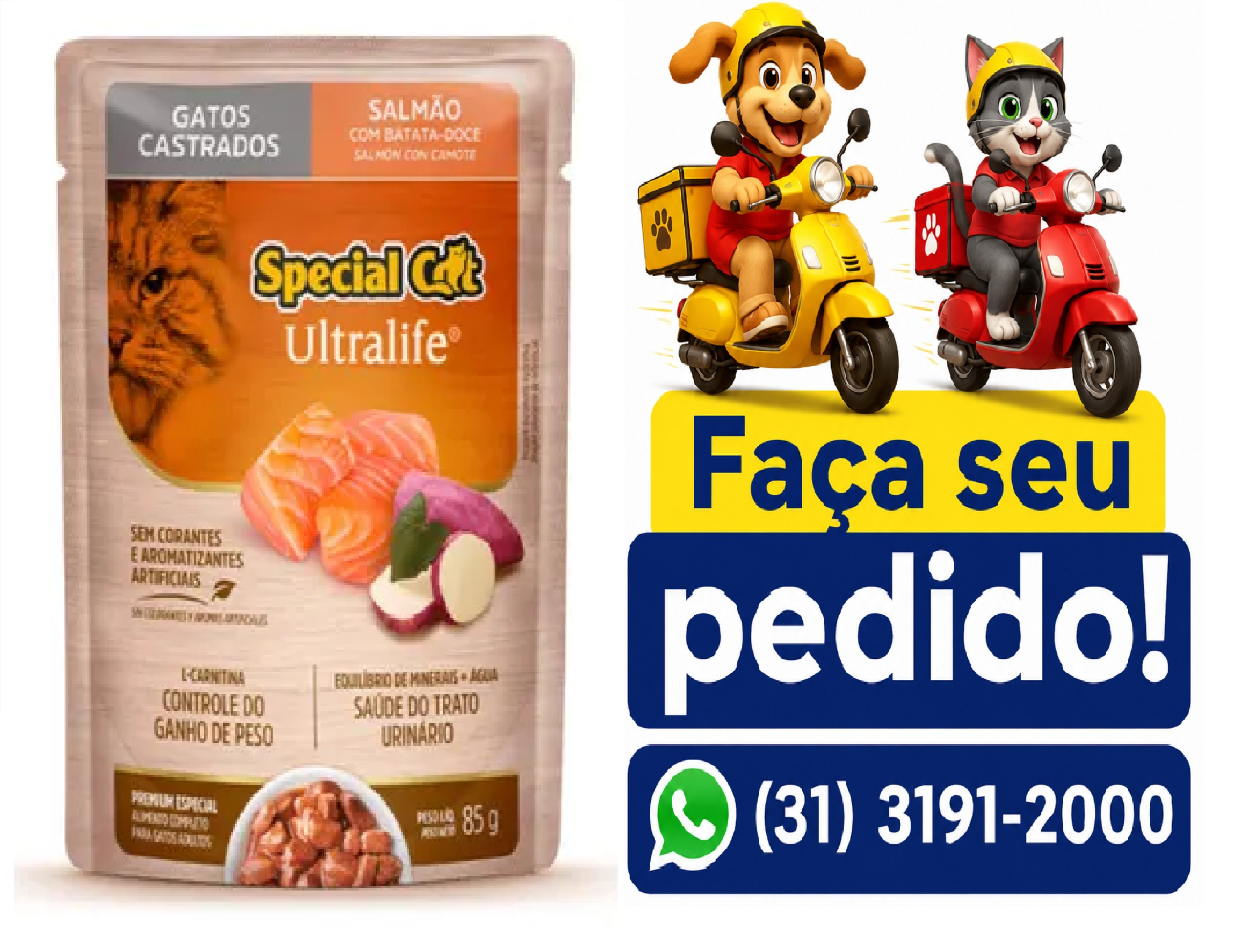 SACHÊ SPECIAL CAT ULTRALIFE CAST SAL 85G