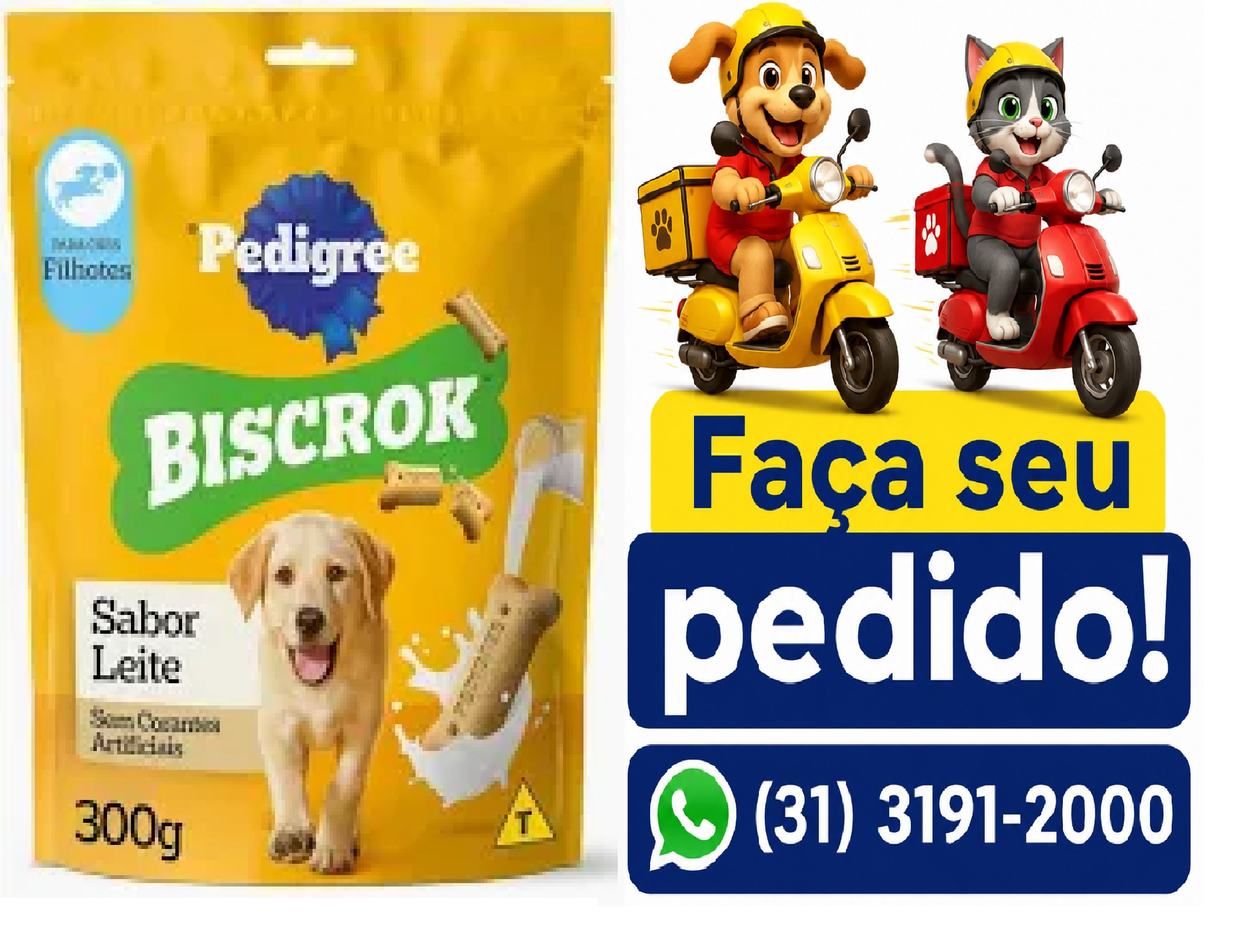 BISCROK JUNIOR 300G