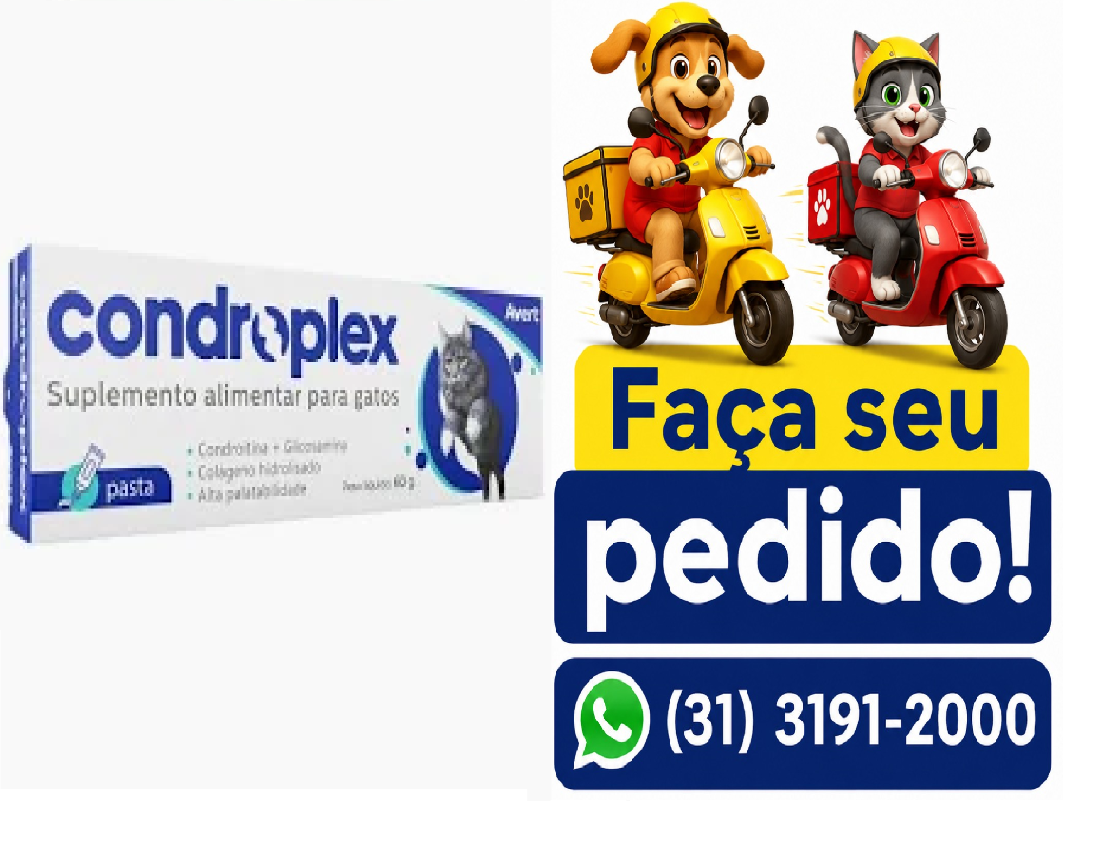 CONDROPLEX PASTA 60G AVERT