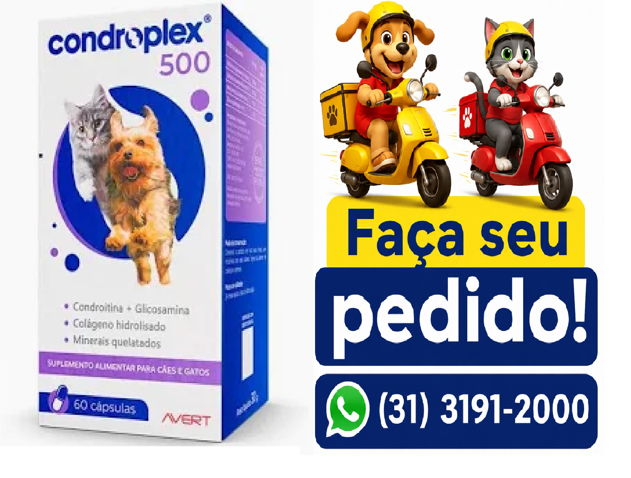CONDROPLEX 500MG 60 CÁPSULAS -AVERT