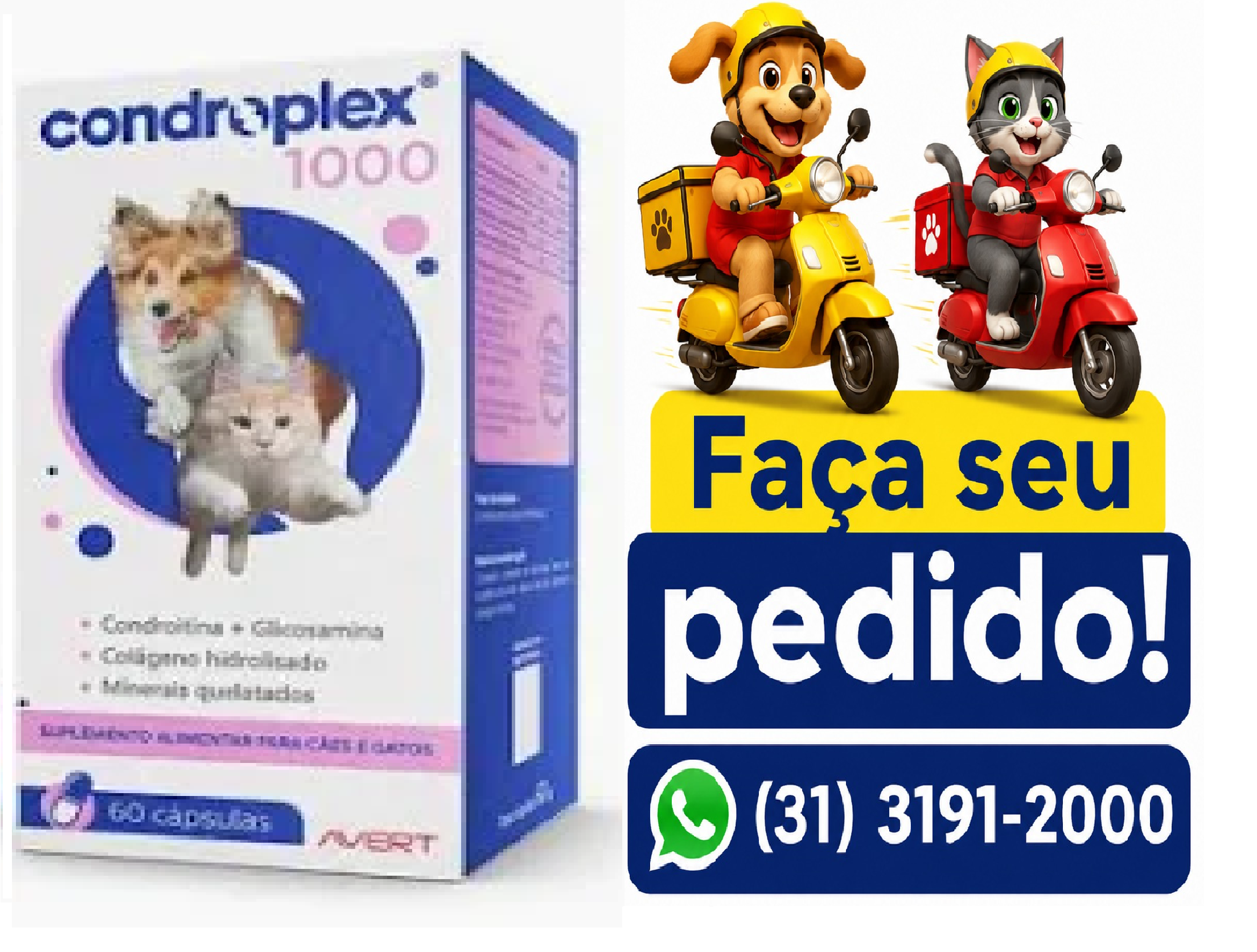 CONDROPLEX 1000MG 60 CÁPSULAS -AVERT