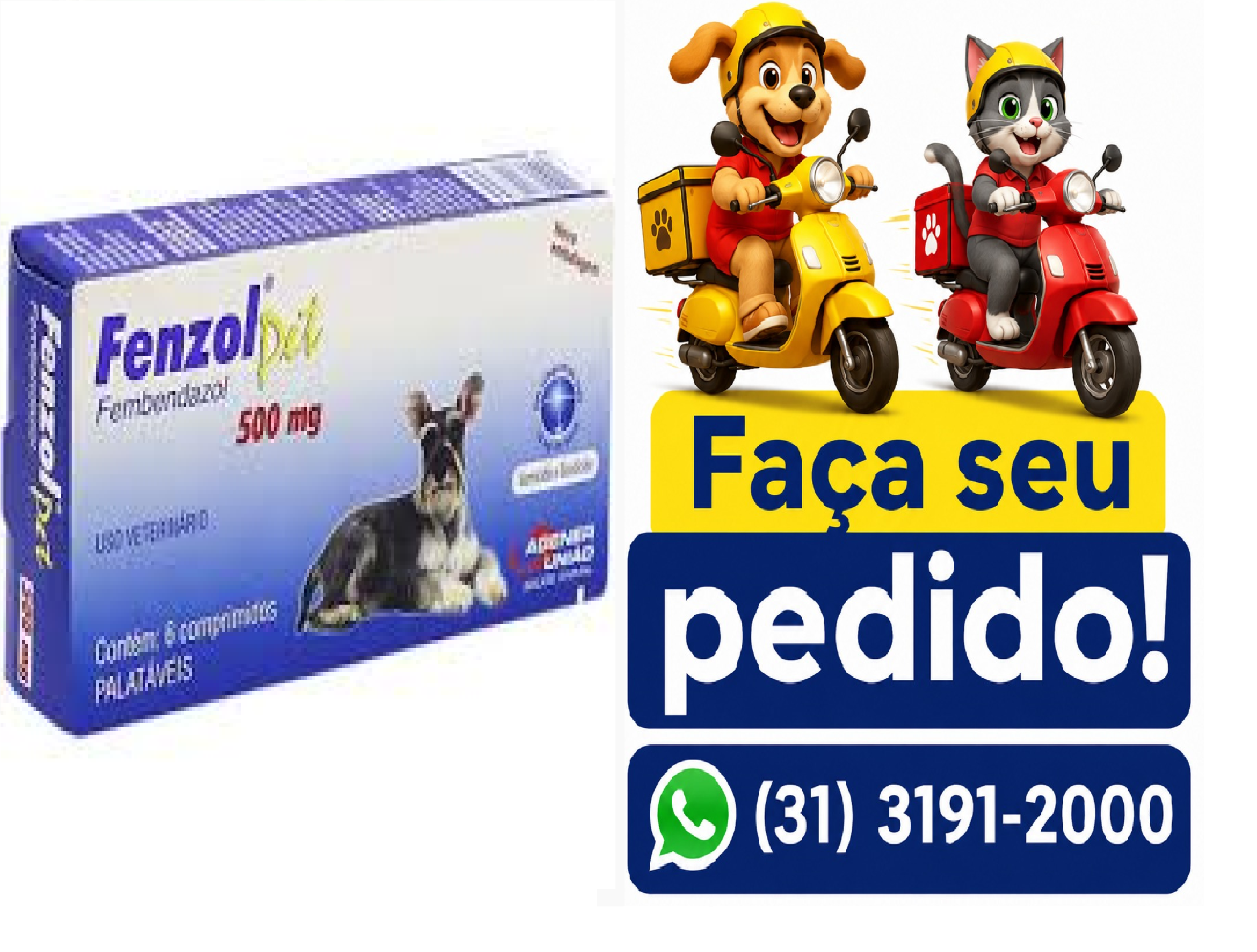 FENZOL PET 500MG X 6 COMP-AGENER