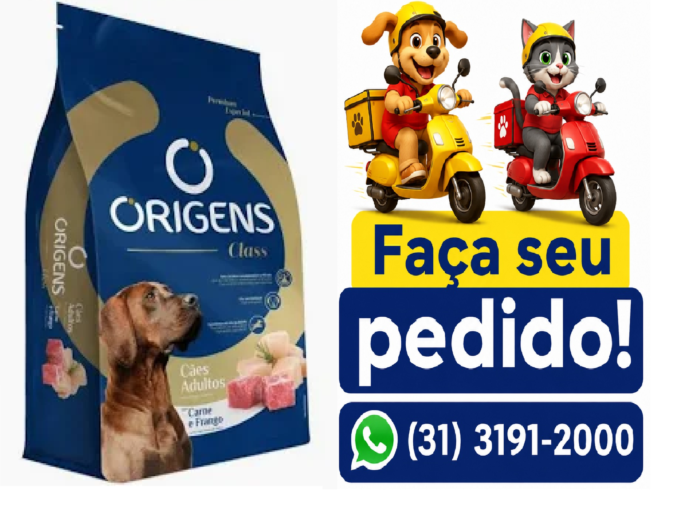 ORIGENS CLASS CÃO AD CARNE/FRANGO 15KG