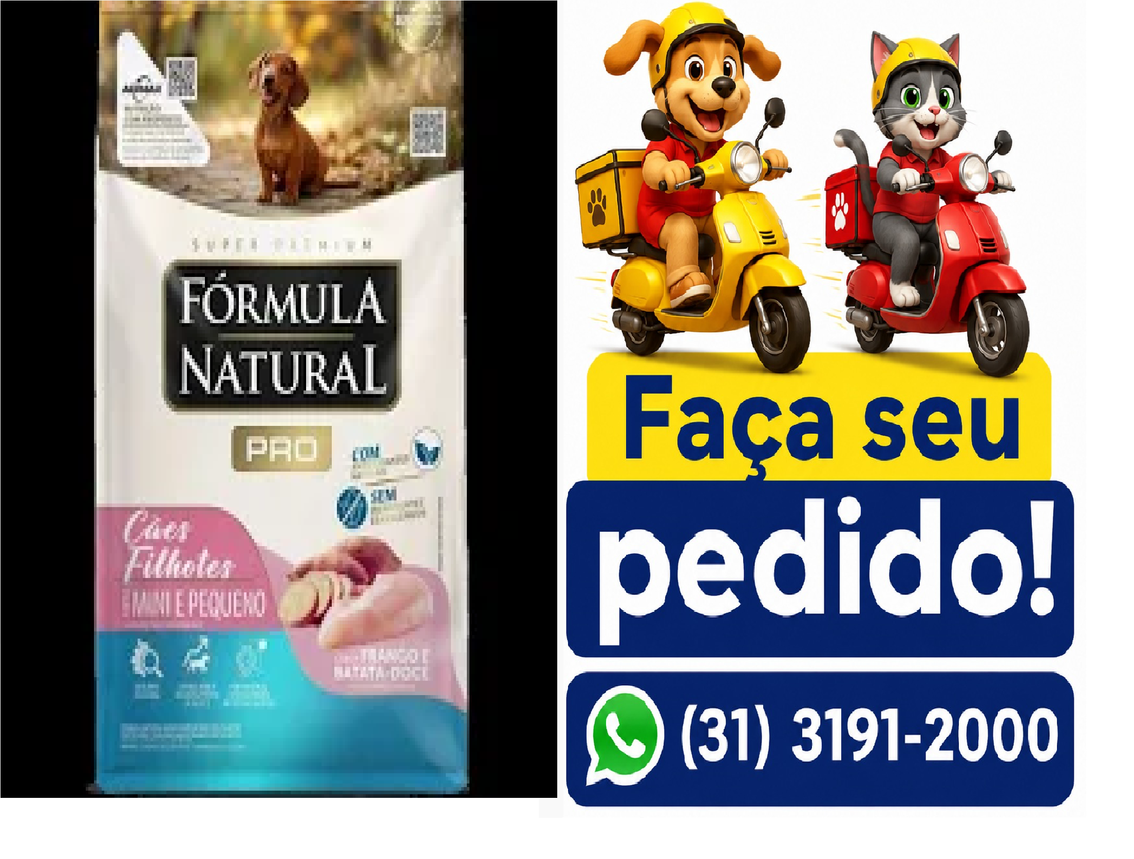 FORMULA NATURAL PRO CAO FIL MINI/PQ 1KG