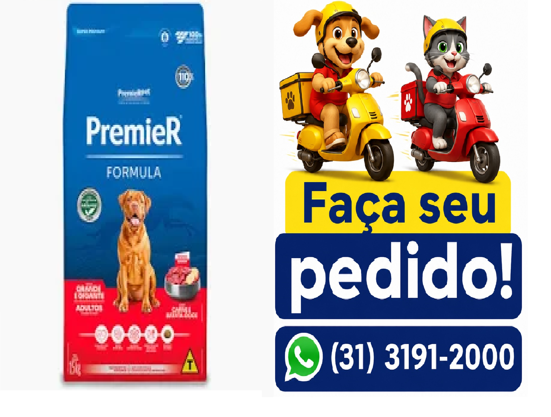PREMIER FORMULA CAO AD RG CARN 15KG