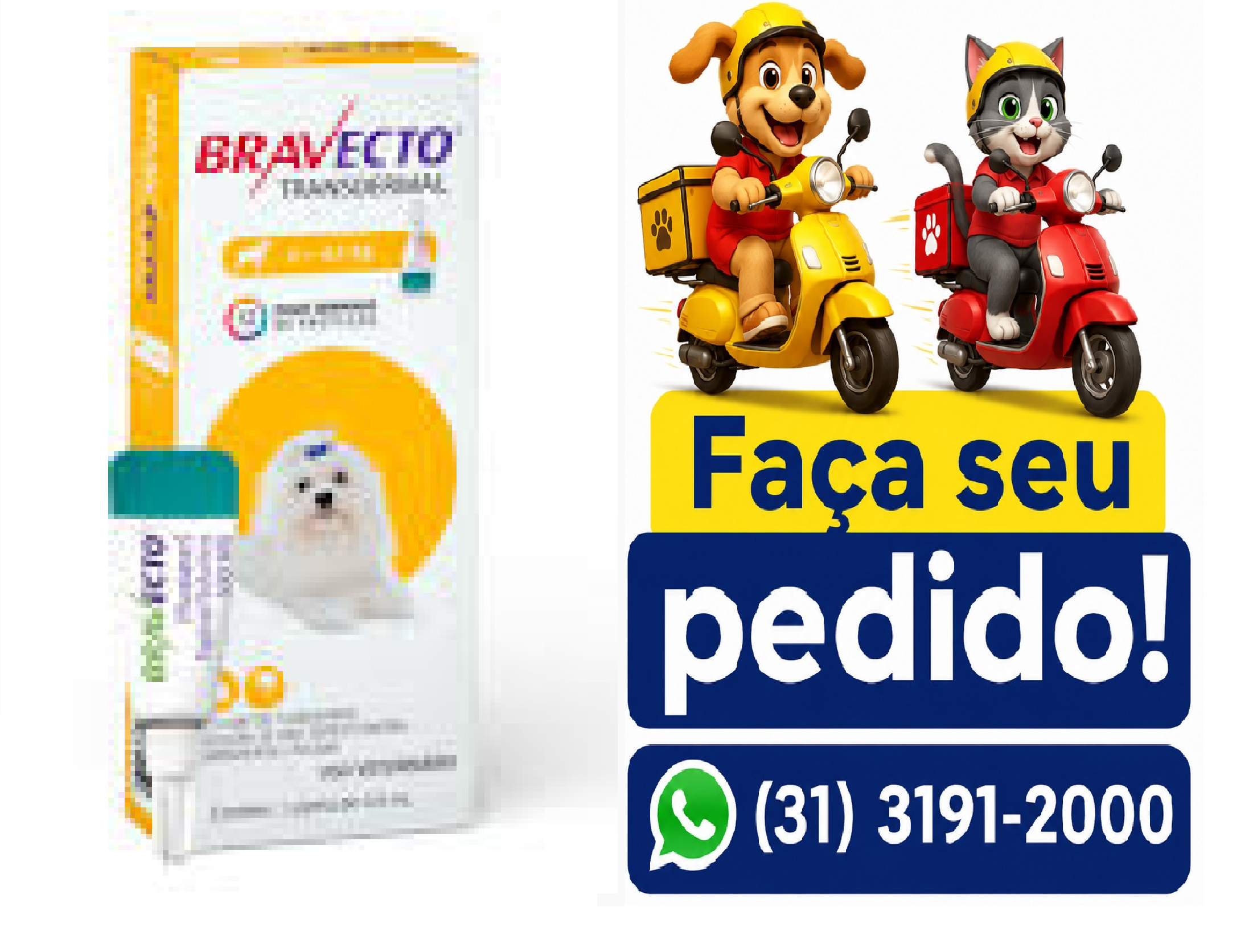 BRAVECTO TRANSD CAES 2KG A 4,5KG 112,5MG