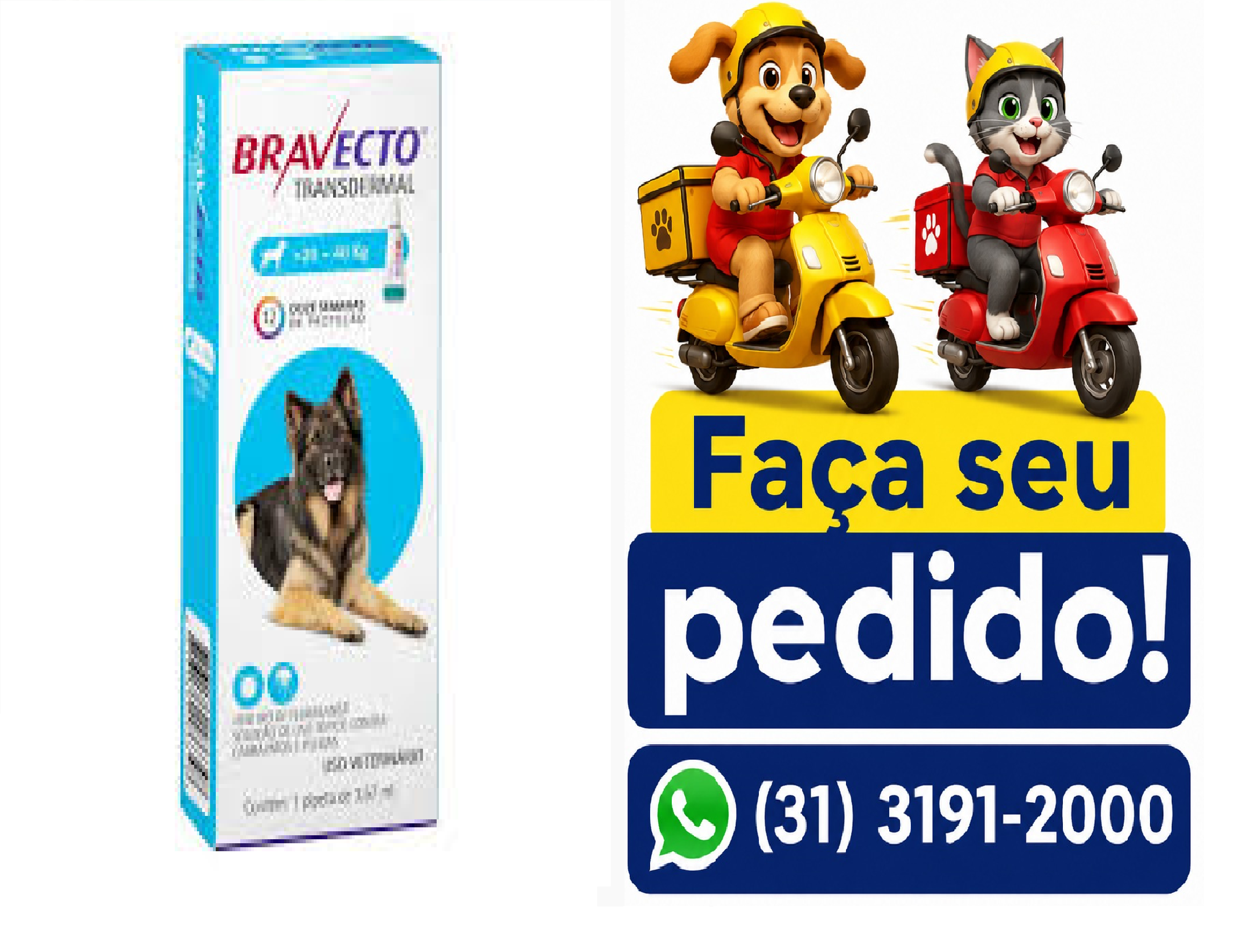 BRAVECTO TRANSD CAES 20KG A 40KG 1000MG