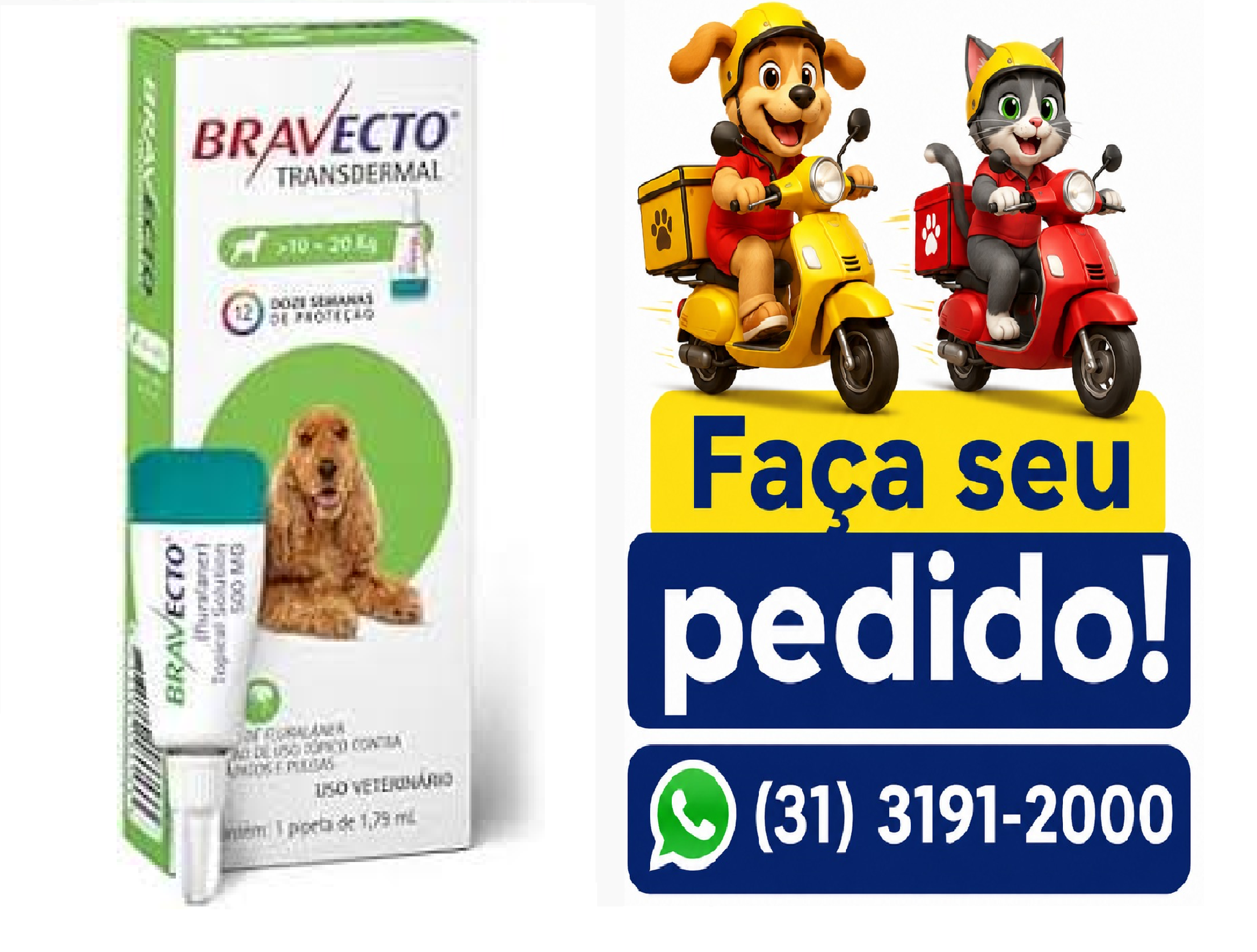 BRAVECTO TRANSD CAES 10KG A 20KG 500MG