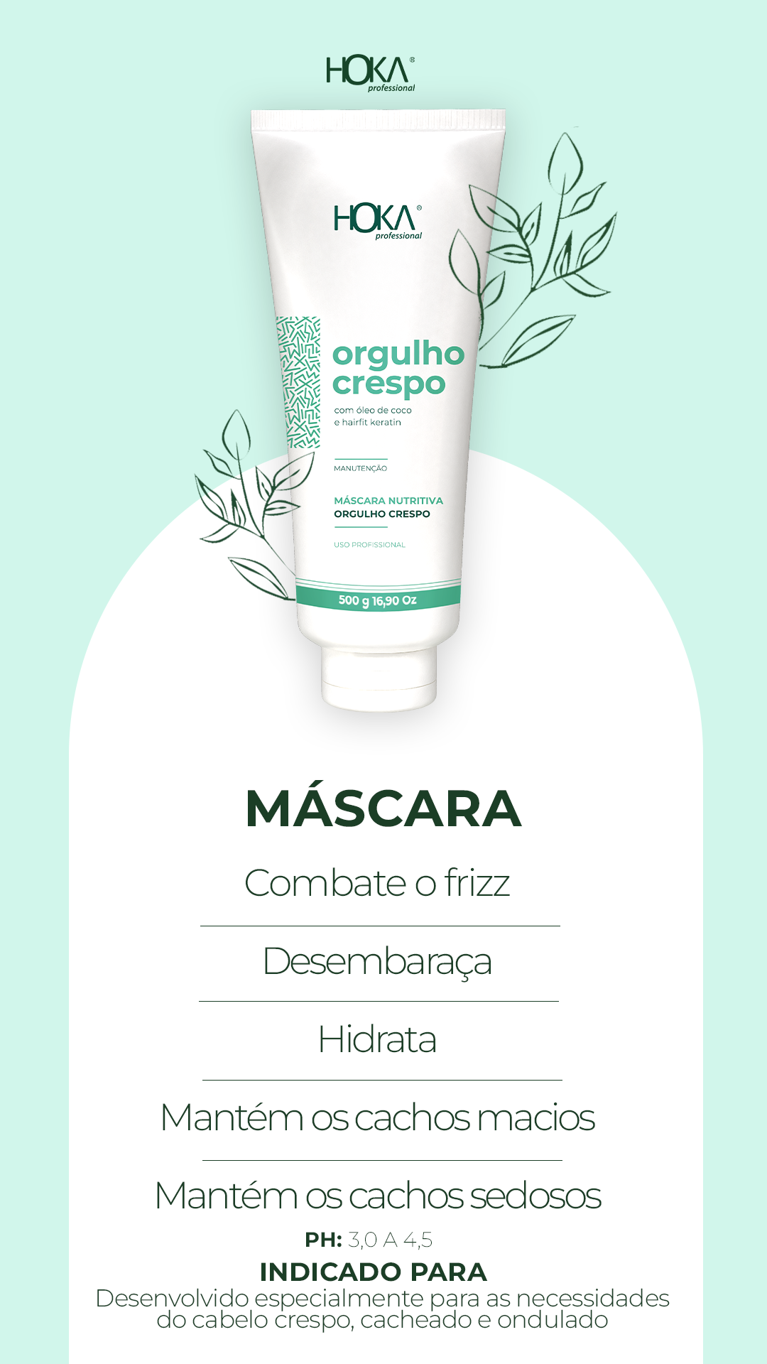 MÁSCARA ORGULHO CRESPO 470G