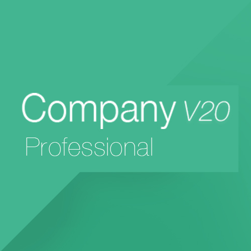 Company V20 Professional