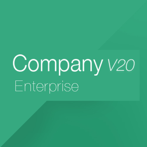 Company V20 Enterprise