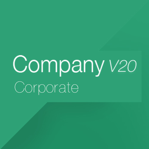 Company V20 Corporate